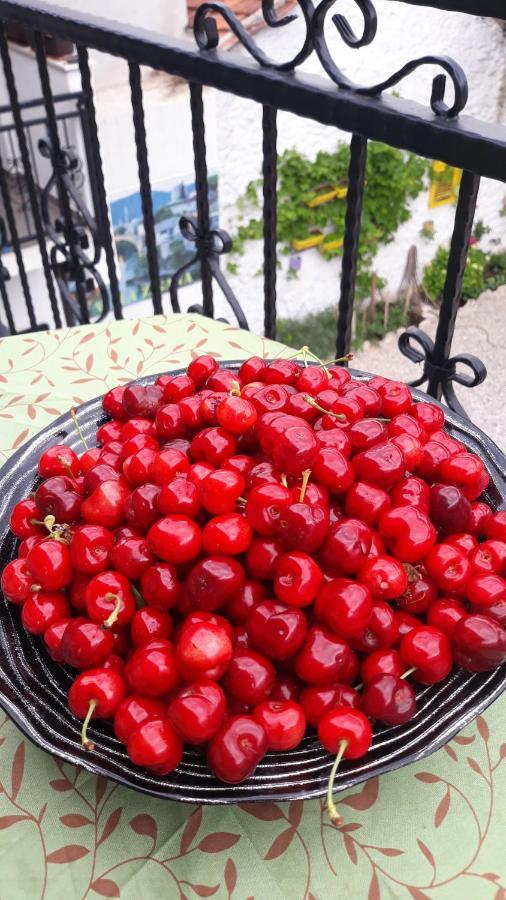 Sweet Apartment Near Old Town Μόσταρ Εξωτερικό φωτογραφία